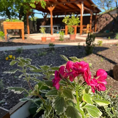 Arvisura Vendeghazak Family And Pet Friendly