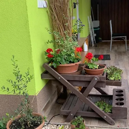 Arvisura Vendeghazak Family And Pet Friendly