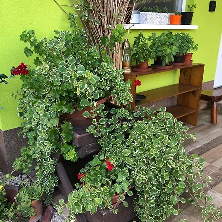 Arvisura Vendeghazak Family And Pet Friendly * Zsombo